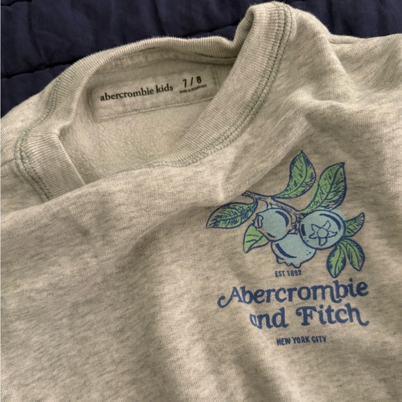 Lot of 10 Abercrombie Kid’s Graphic Sweatshirts - Picture 15 of 15